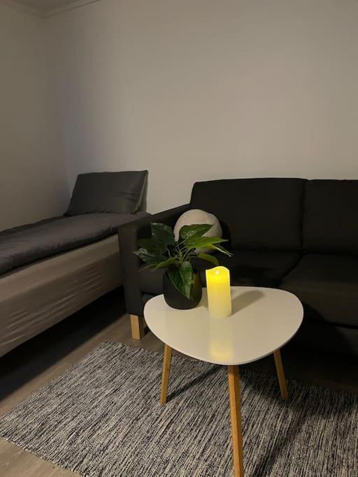 Tromsdalen Apt 2 - Free Parking エクステリア 写真