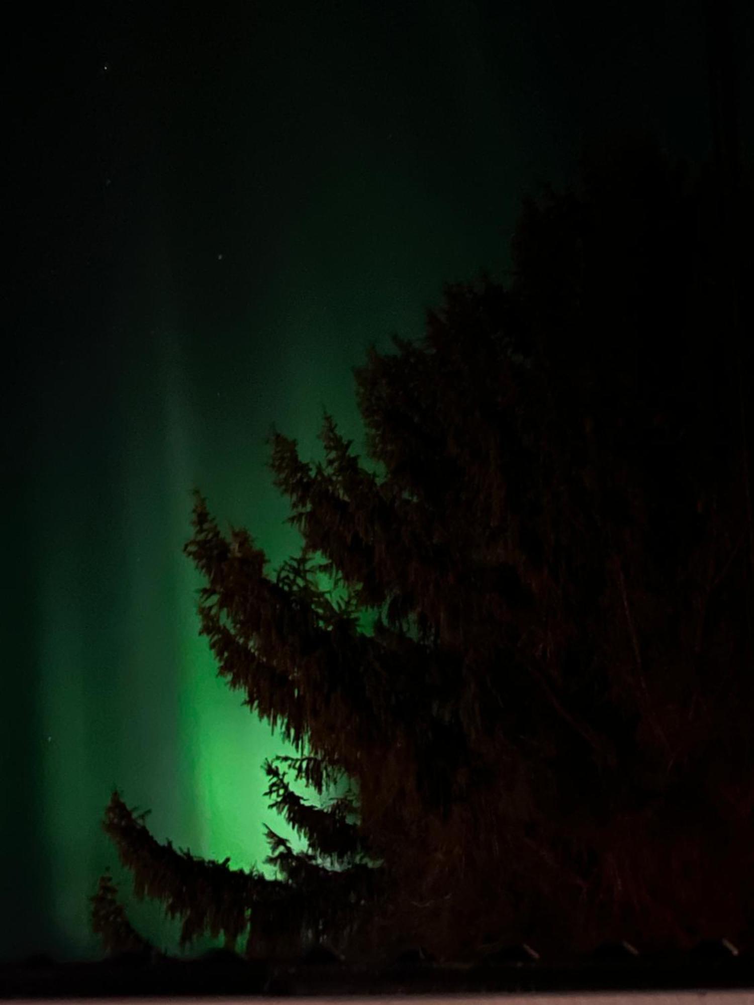 Tromsdalen Apt 2 - Free Parking エクステリア 写真